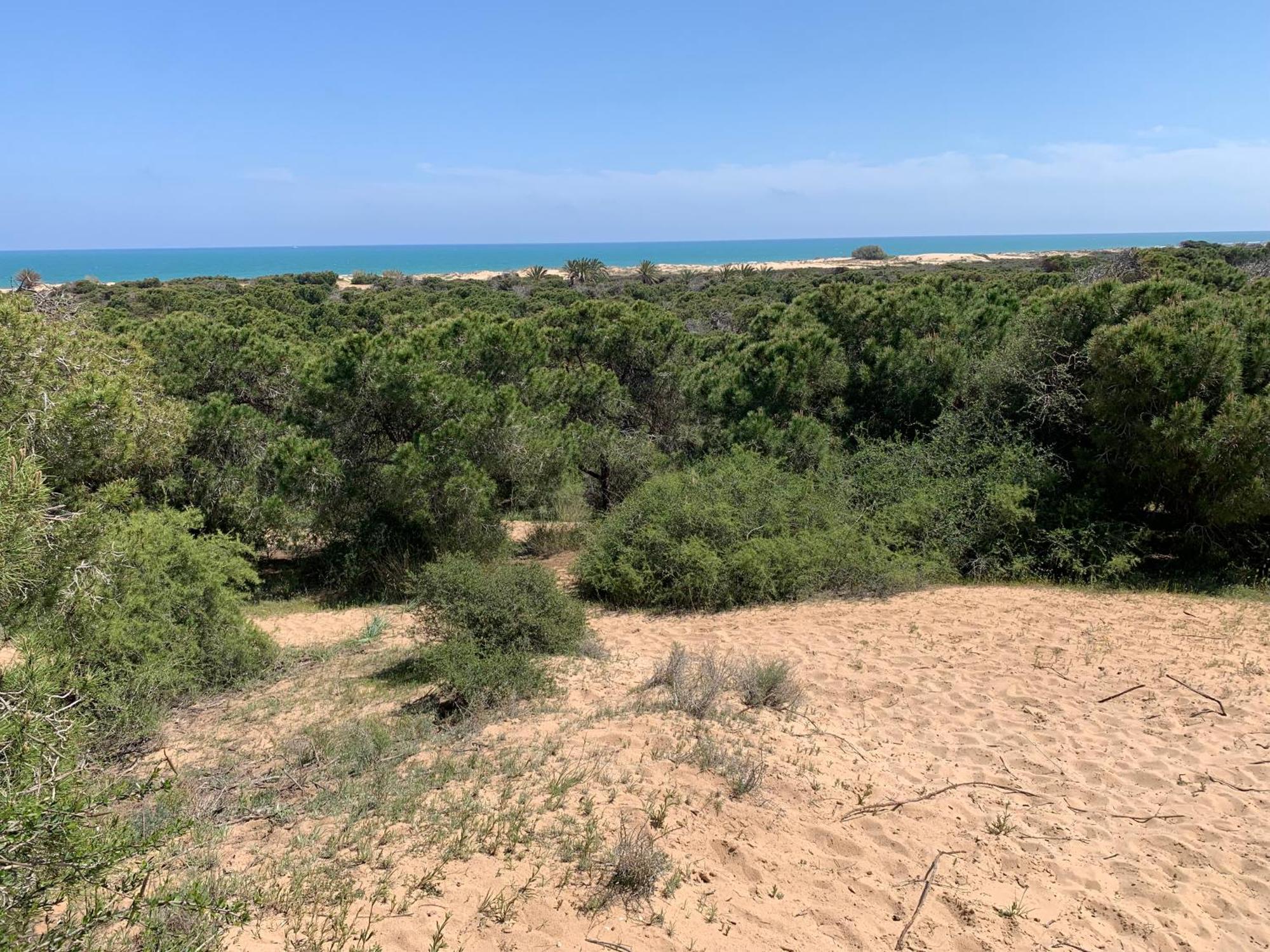 Modern Apartment Near Beach La Mata  Ngoại thất bức ảnh